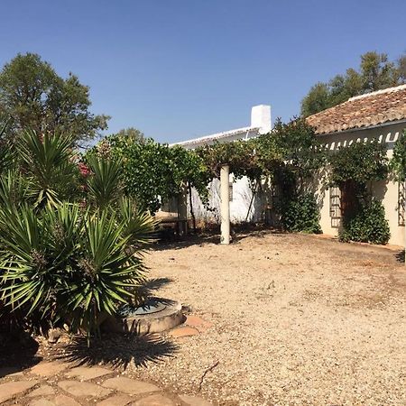 Casa Rural La Navarra Вияробледо Екстериор снимка
