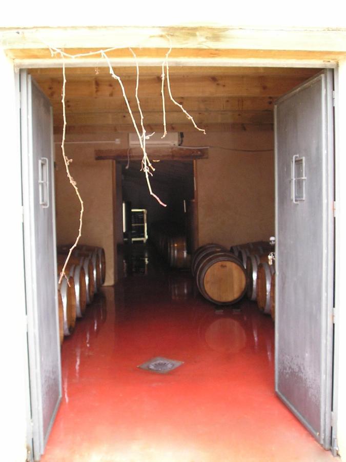 Casa Rural La Navarra Вияробледо Екстериор снимка