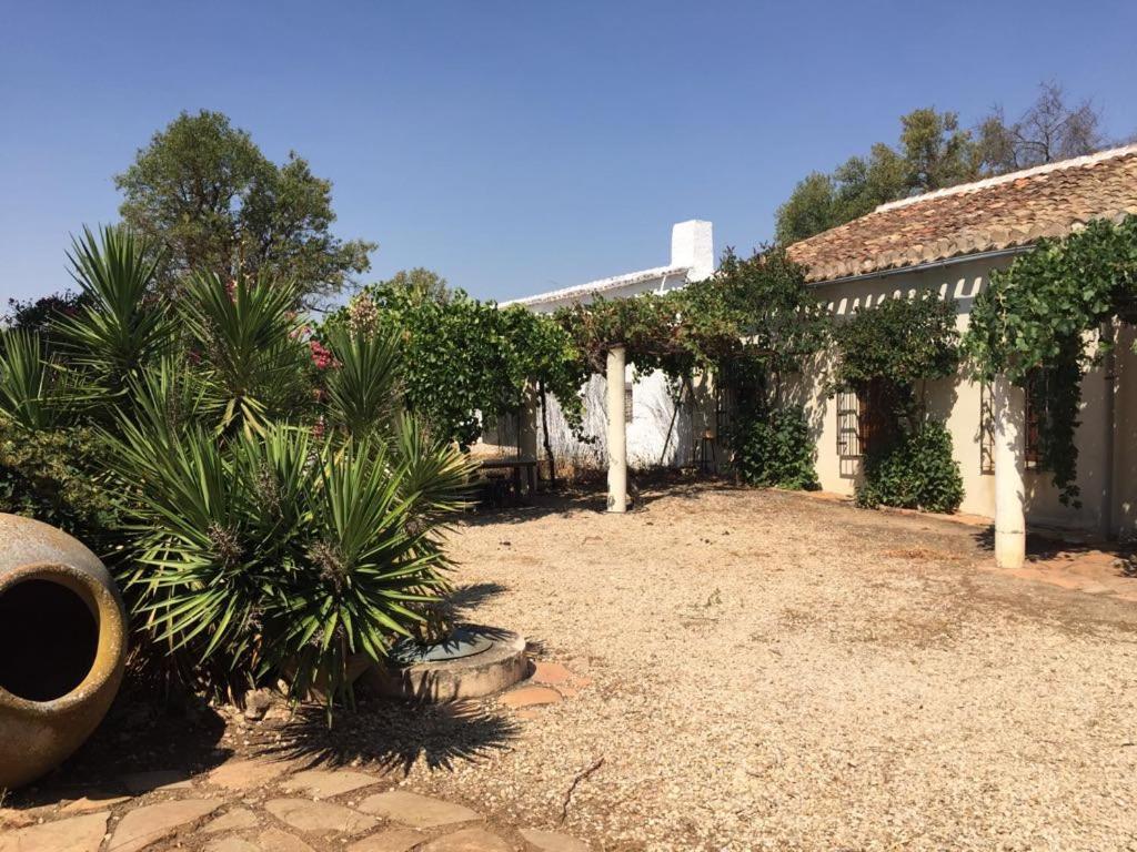 Casa Rural La Navarra Вияробледо Екстериор снимка